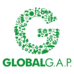 Global A.P